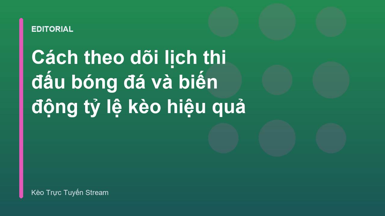 Người hâm mộ theo dõi lịch thi đấu bóng đá và tỷ lệ kèo