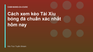 Read more about the article Cách xem kèo Tài Xỉu bóng đá chuẩn xác nhất hôm nay